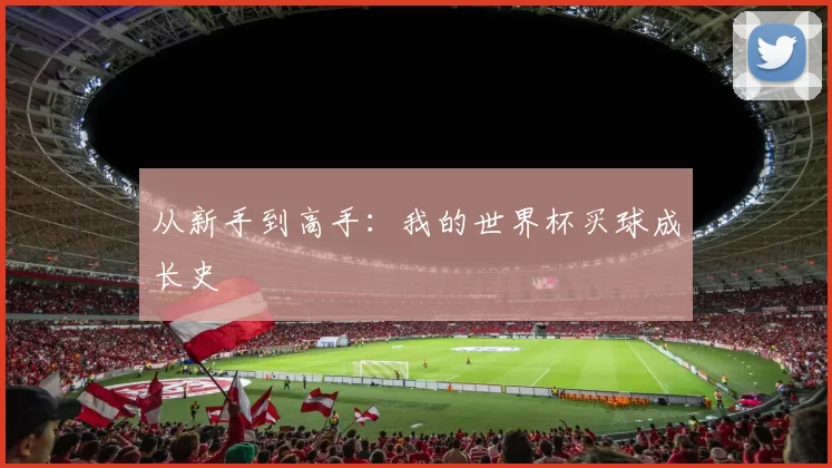 从新手到高手：我的世界杯买球成长史