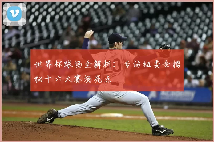 世界杯球场全解析：专访组委会揭秘十六大赛场亮点
