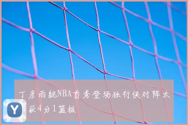 丁彦雨航NBA首秀登场独行侠对阵太阳获4分1篮板