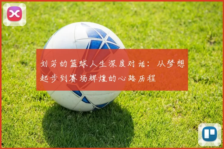 刘芳的篮球人生深度对话：从梦想起步到赛场辉煌的心路历程