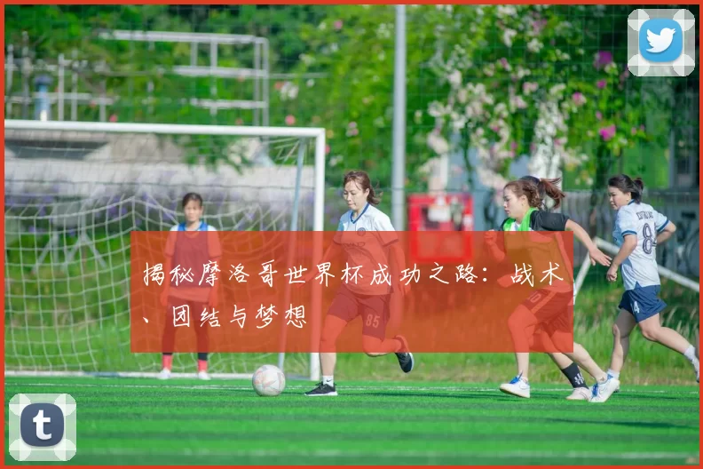 揭秘摩洛哥世界杯成功之路:战术、团结与梦想