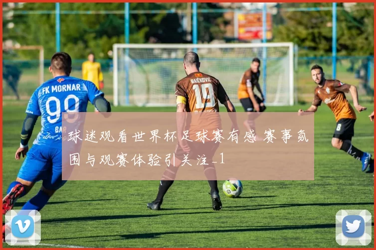 球迷观看世界杯足球赛有感 赛事氛围与观赛体验引关注_1