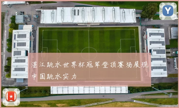 湛江跳水世界杯冠军登顶赛场展现中国跳水实力