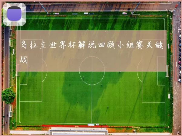 乌拉圭世界杯解说回顾小组赛关键战