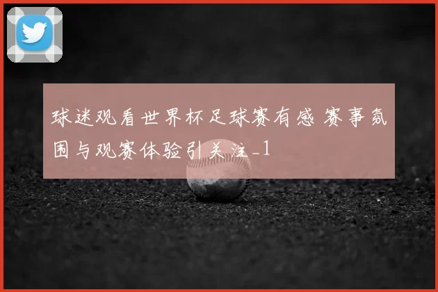 球迷观看世界杯足球赛有感 赛事氛围与观赛体验引关注_1