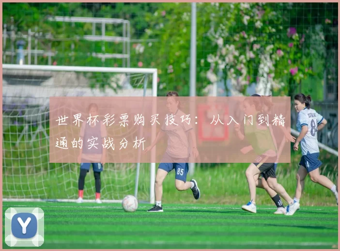 世界杯彩票购买技巧:从入门到精通的实战分析