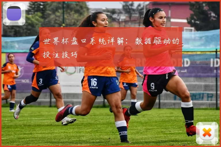 世界杯盘口系统详解:数据驱动的投注技巧