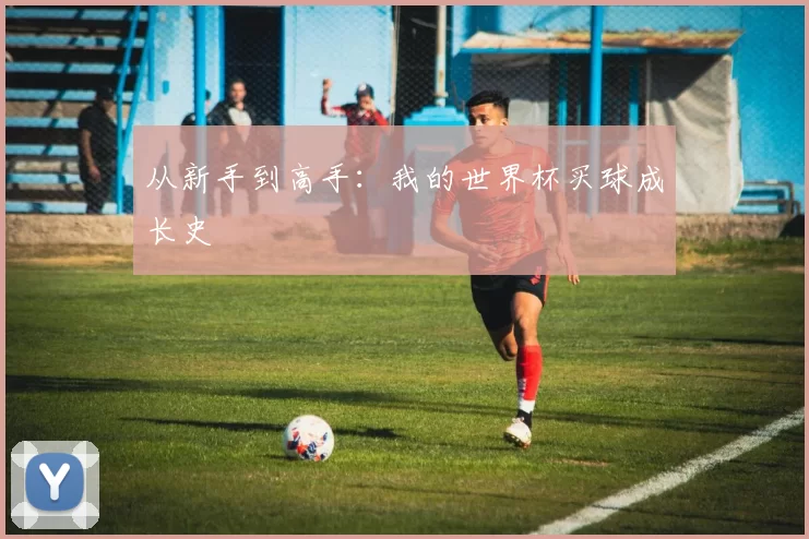 从新手到高手：我的世界杯买球成长史