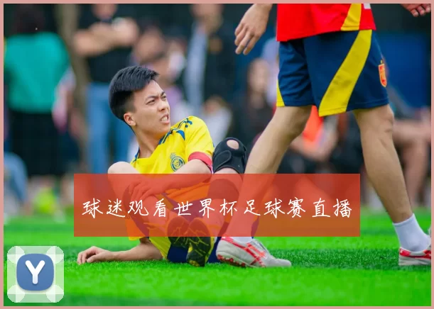 球迷观看世界杯足球赛直播