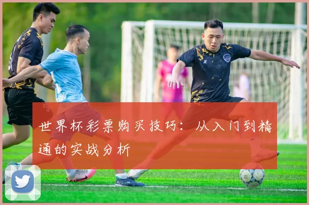 世界杯彩票购买技巧：从入门到精通的实战分析