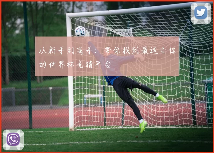 从新手到高手：带你找到最适合你的世界杯竞猜平台