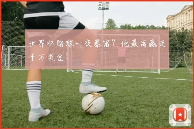世界杯赌球一夜暴富?他最高赢走千万奖金!