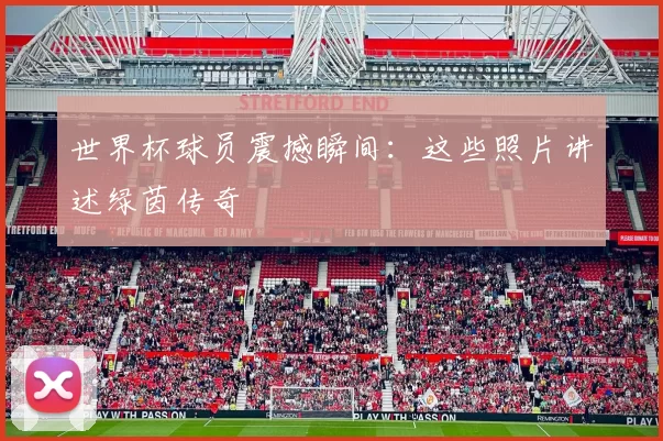 世界杯球员震撼瞬间：这些照片讲述绿茵传奇