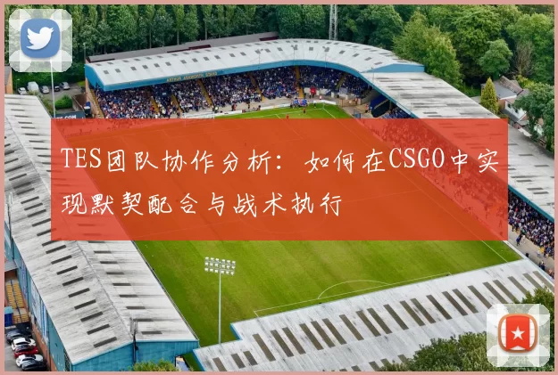 TES团队协作分析:如何在CSGO中实现默契配合与战术执行